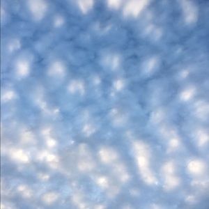 Meet your Posher, Kaylynn